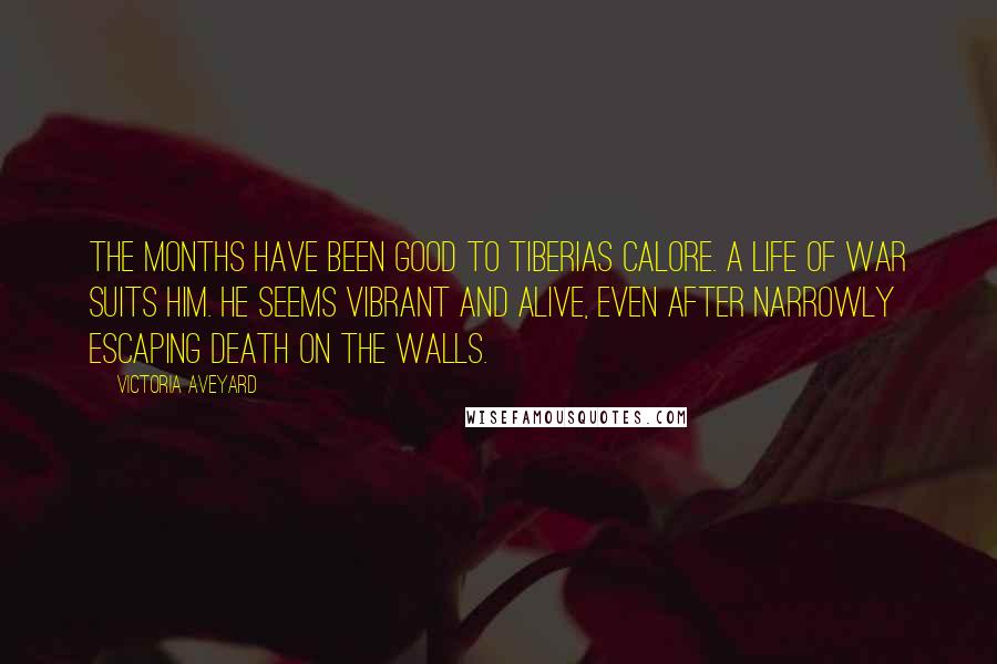 Victoria Aveyard Quotes: The months have been good to Tiberias Calore. A life of war suits him. He seems vibrant and alive, even after narrowly escaping death on the walls.