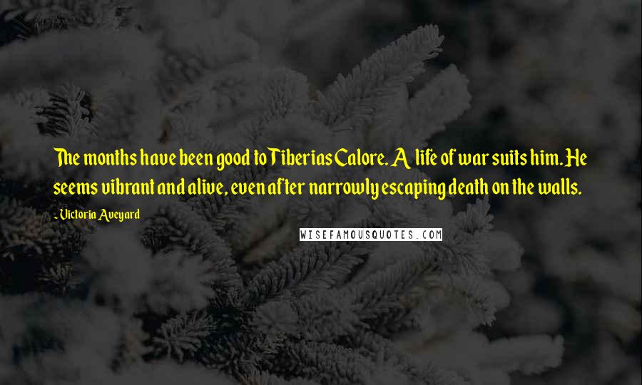 Victoria Aveyard Quotes: The months have been good to Tiberias Calore. A life of war suits him. He seems vibrant and alive, even after narrowly escaping death on the walls.