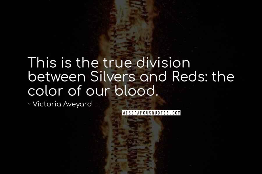 Victoria Aveyard Quotes: This is the true division between Silvers and Reds: the color of our blood.