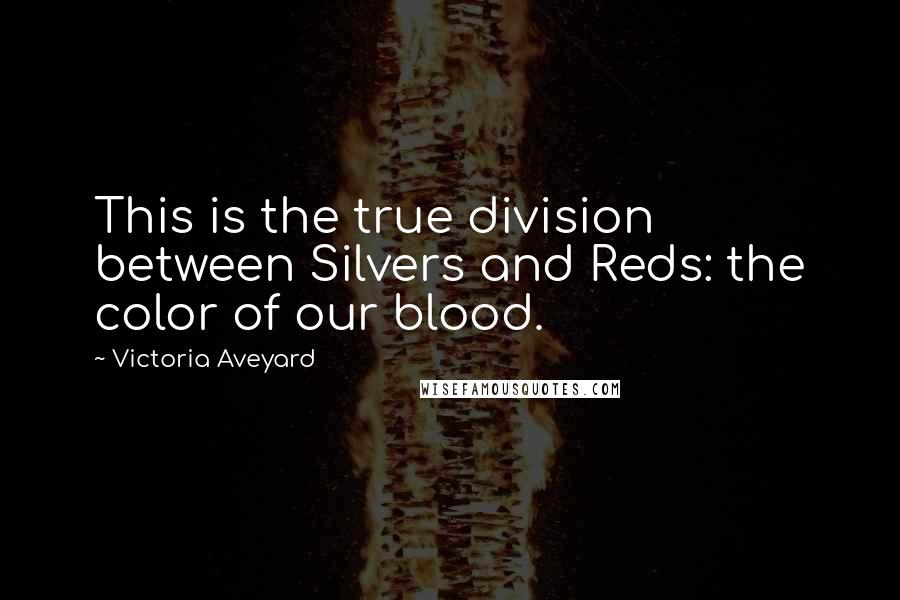 Victoria Aveyard Quotes: This is the true division between Silvers and Reds: the color of our blood.