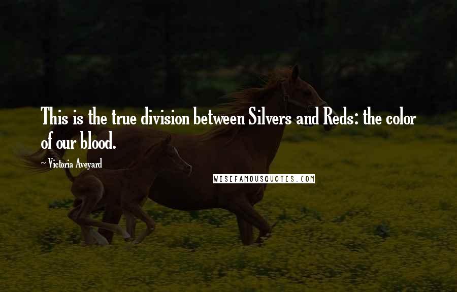 Victoria Aveyard Quotes: This is the true division between Silvers and Reds: the color of our blood.