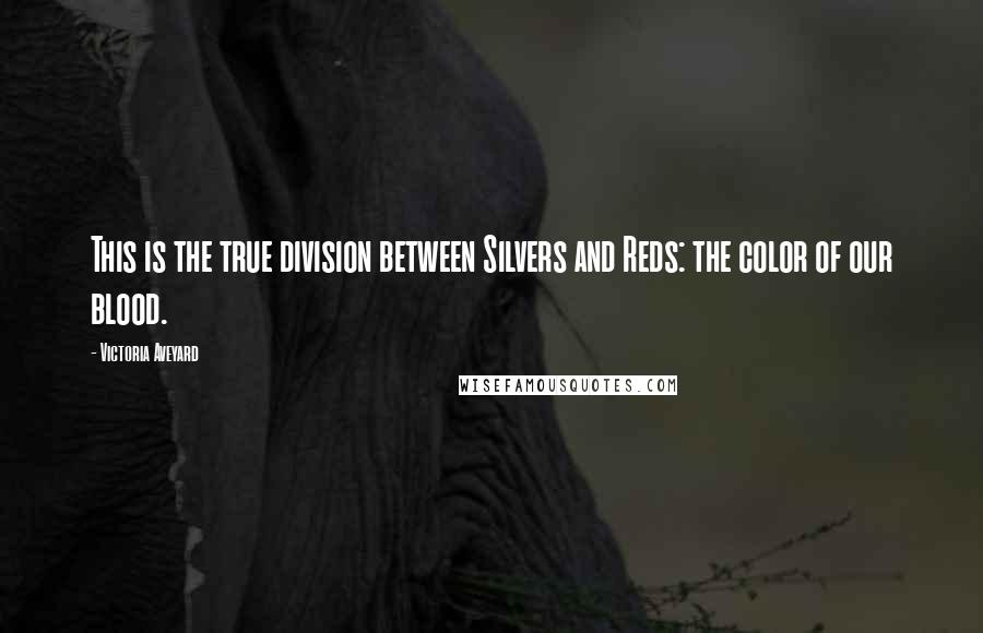 Victoria Aveyard Quotes: This is the true division between Silvers and Reds: the color of our blood.