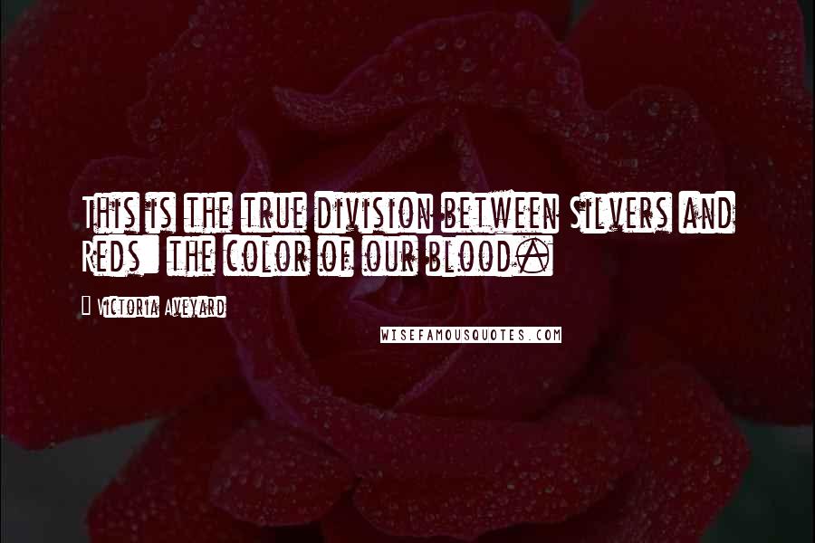 Victoria Aveyard Quotes: This is the true division between Silvers and Reds: the color of our blood.