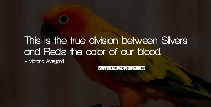 Victoria Aveyard Quotes: This is the true division between Silvers and Reds: the color of our blood.