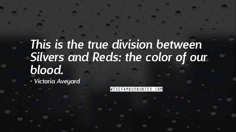 Victoria Aveyard Quotes: This is the true division between Silvers and Reds: the color of our blood.