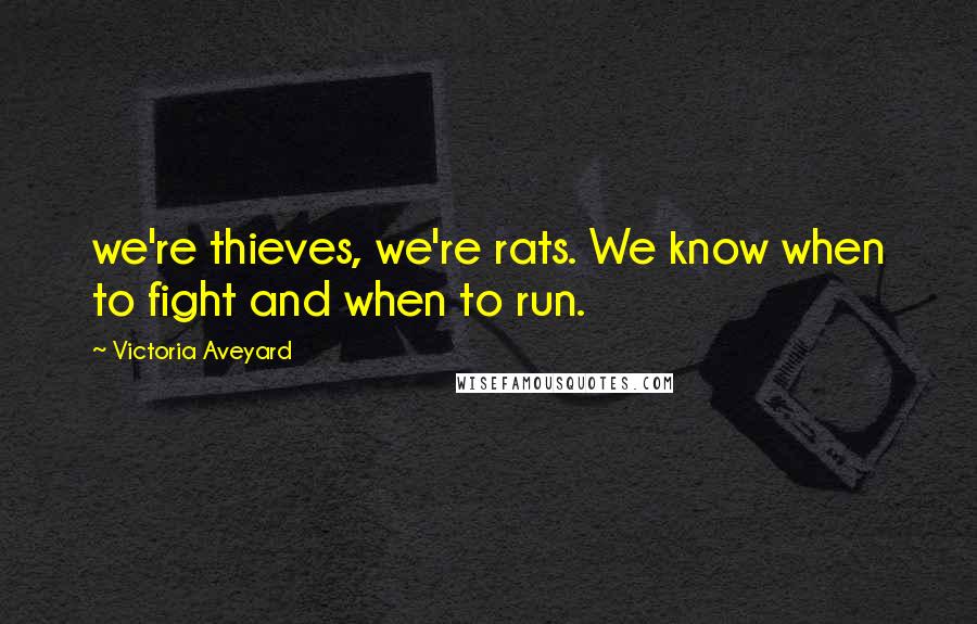 Victoria Aveyard Quotes: we're thieves, we're rats. We know when to fight and when to run.