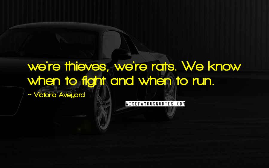 Victoria Aveyard Quotes: we're thieves, we're rats. We know when to fight and when to run.