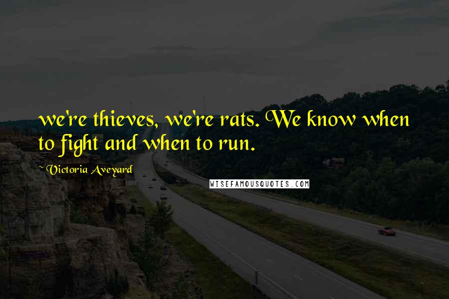 Victoria Aveyard Quotes: we're thieves, we're rats. We know when to fight and when to run.
