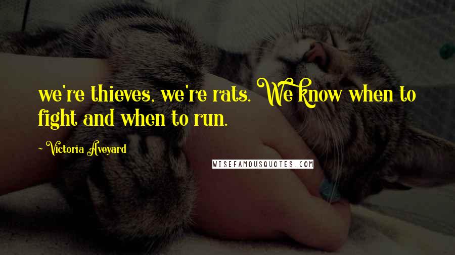 Victoria Aveyard Quotes: we're thieves, we're rats. We know when to fight and when to run.
