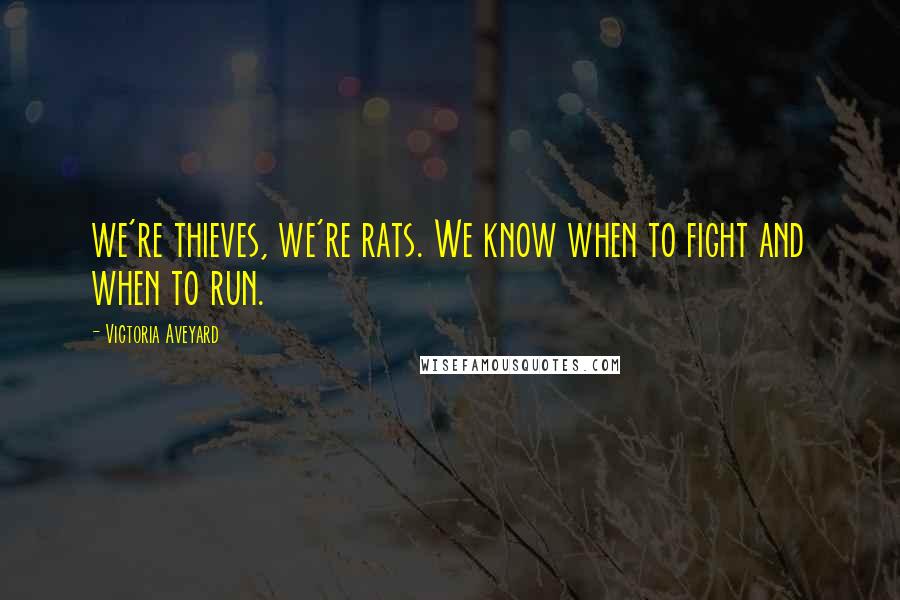 Victoria Aveyard Quotes: we're thieves, we're rats. We know when to fight and when to run.