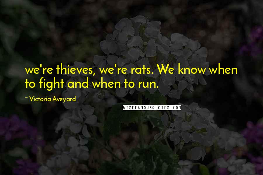 Victoria Aveyard Quotes: we're thieves, we're rats. We know when to fight and when to run.
