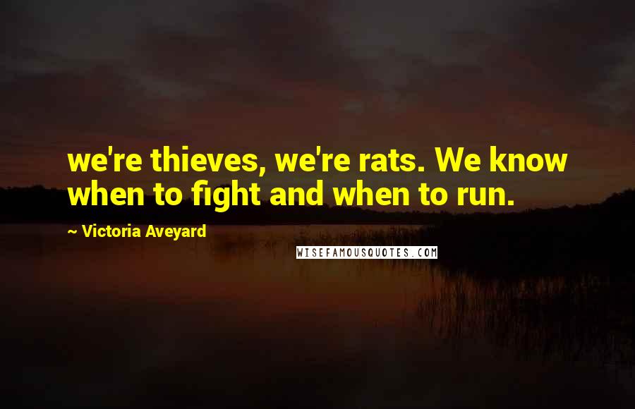 Victoria Aveyard Quotes: we're thieves, we're rats. We know when to fight and when to run.