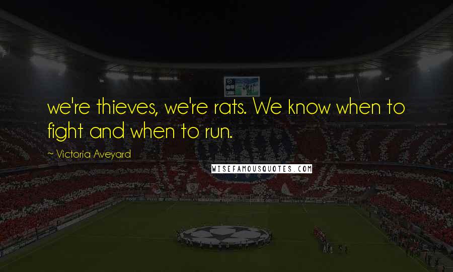Victoria Aveyard Quotes: we're thieves, we're rats. We know when to fight and when to run.