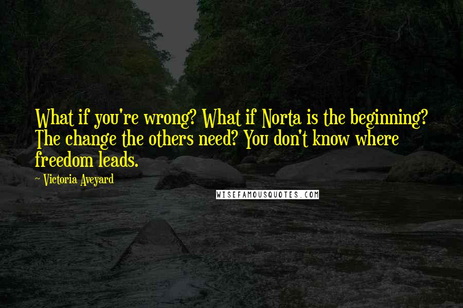 Victoria Aveyard Quotes: What if you're wrong? What if Norta is the beginning? The change the others need? You don't know where freedom leads.