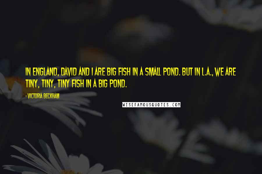 Victoria Beckham Quotes: In England, David and I are big fish in a small pond. But in L.A., we are tiny, tiny, tiny fish in a big pond.