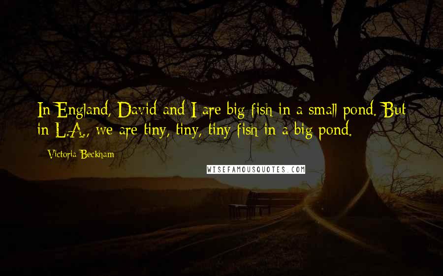 Victoria Beckham Quotes: In England, David and I are big fish in a small pond. But in L.A., we are tiny, tiny, tiny fish in a big pond.