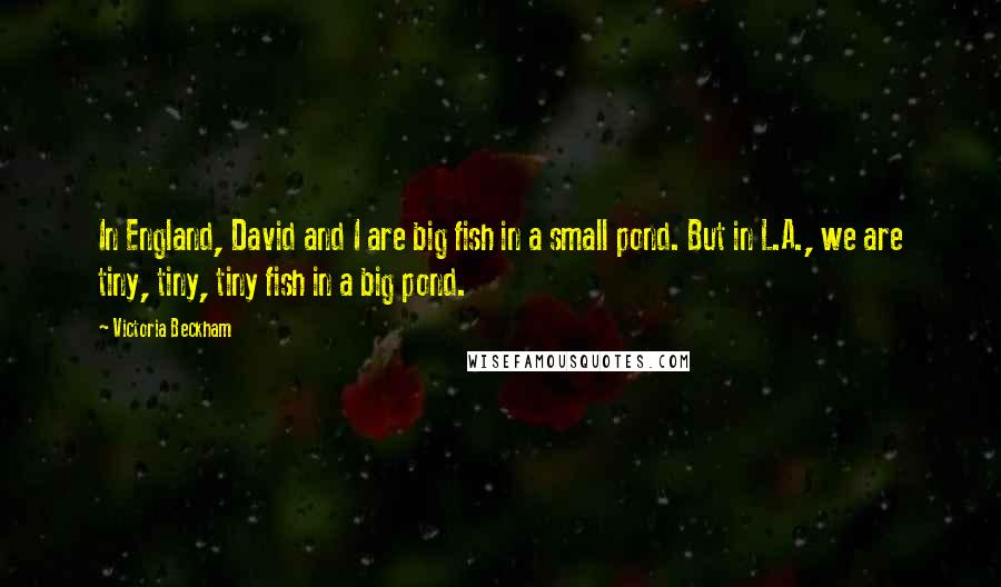 Victoria Beckham Quotes: In England, David and I are big fish in a small pond. But in L.A., we are tiny, tiny, tiny fish in a big pond.