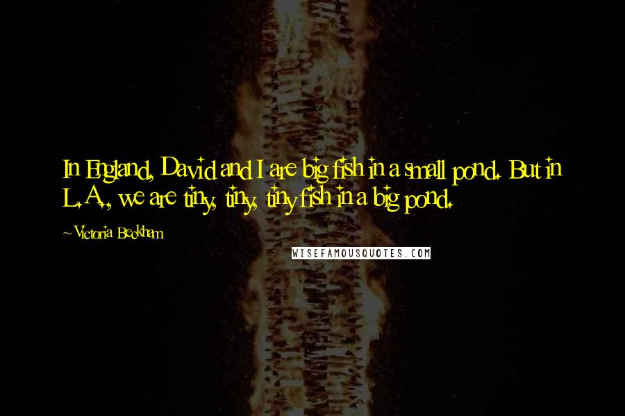 Victoria Beckham Quotes: In England, David and I are big fish in a small pond. But in L.A., we are tiny, tiny, tiny fish in a big pond.