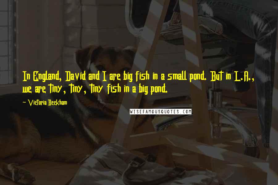 Victoria Beckham Quotes: In England, David and I are big fish in a small pond. But in L.A., we are tiny, tiny, tiny fish in a big pond.