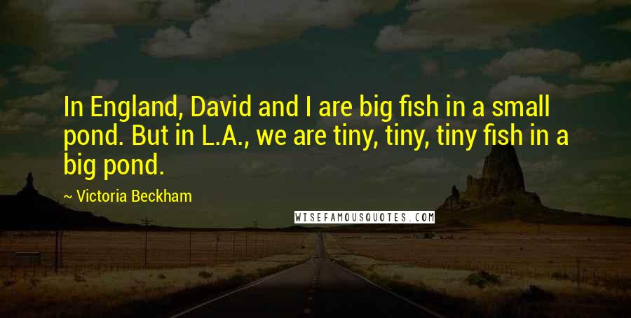 Victoria Beckham Quotes: In England, David and I are big fish in a small pond. But in L.A., we are tiny, tiny, tiny fish in a big pond.