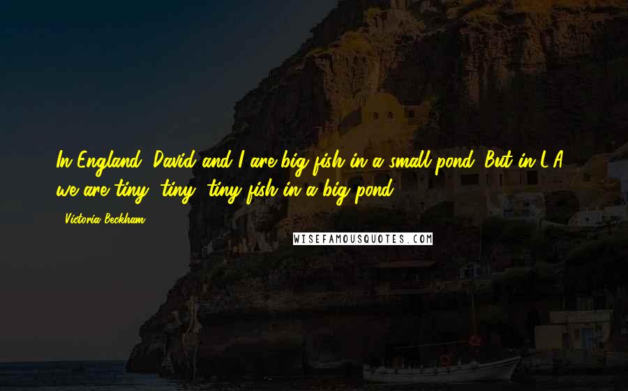 Victoria Beckham Quotes: In England, David and I are big fish in a small pond. But in L.A., we are tiny, tiny, tiny fish in a big pond.