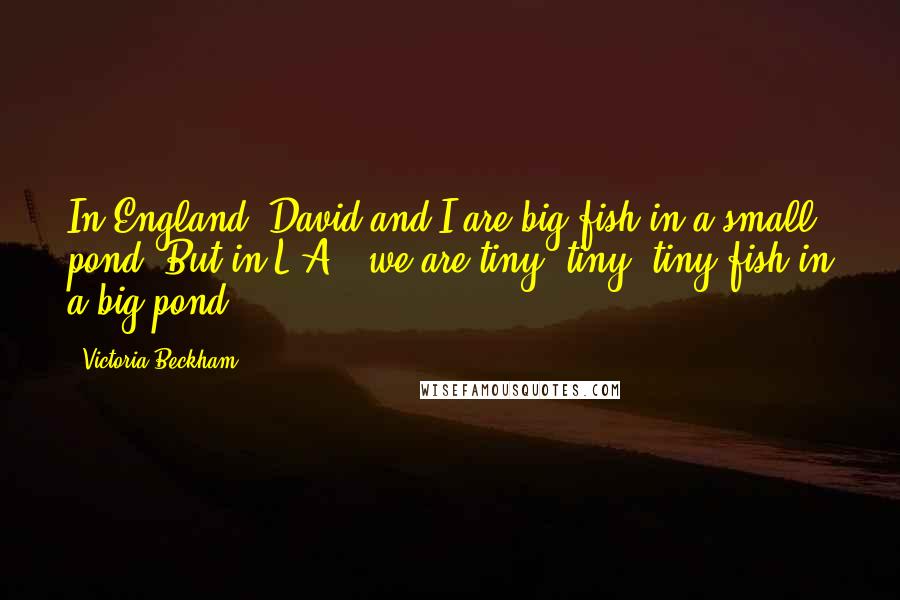 Victoria Beckham Quotes: In England, David and I are big fish in a small pond. But in L.A., we are tiny, tiny, tiny fish in a big pond.