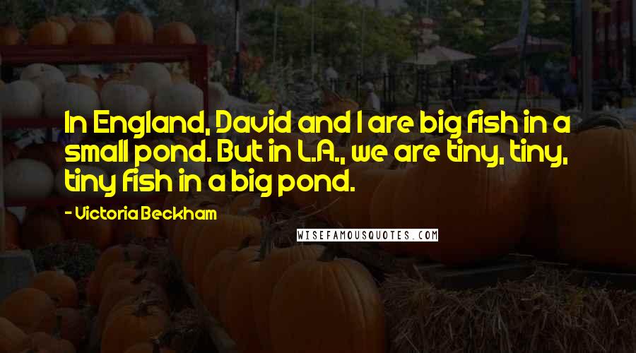 Victoria Beckham Quotes: In England, David and I are big fish in a small pond. But in L.A., we are tiny, tiny, tiny fish in a big pond.