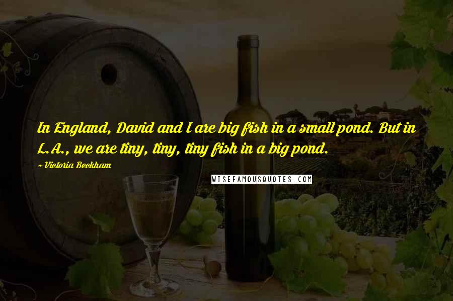 Victoria Beckham Quotes: In England, David and I are big fish in a small pond. But in L.A., we are tiny, tiny, tiny fish in a big pond.