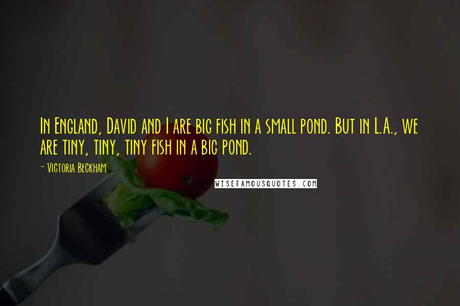 Victoria Beckham Quotes: In England, David and I are big fish in a small pond. But in L.A., we are tiny, tiny, tiny fish in a big pond.