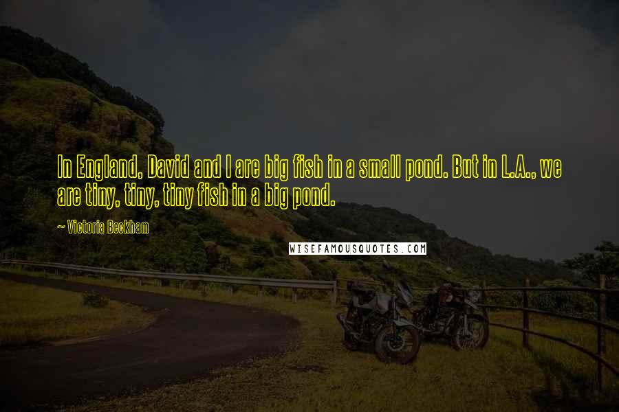 Victoria Beckham Quotes: In England, David and I are big fish in a small pond. But in L.A., we are tiny, tiny, tiny fish in a big pond.