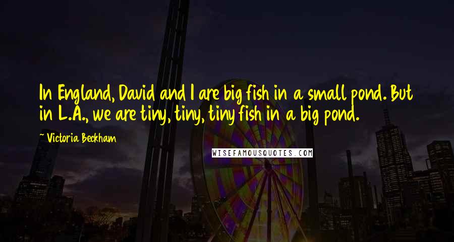 Victoria Beckham Quotes: In England, David and I are big fish in a small pond. But in L.A., we are tiny, tiny, tiny fish in a big pond.