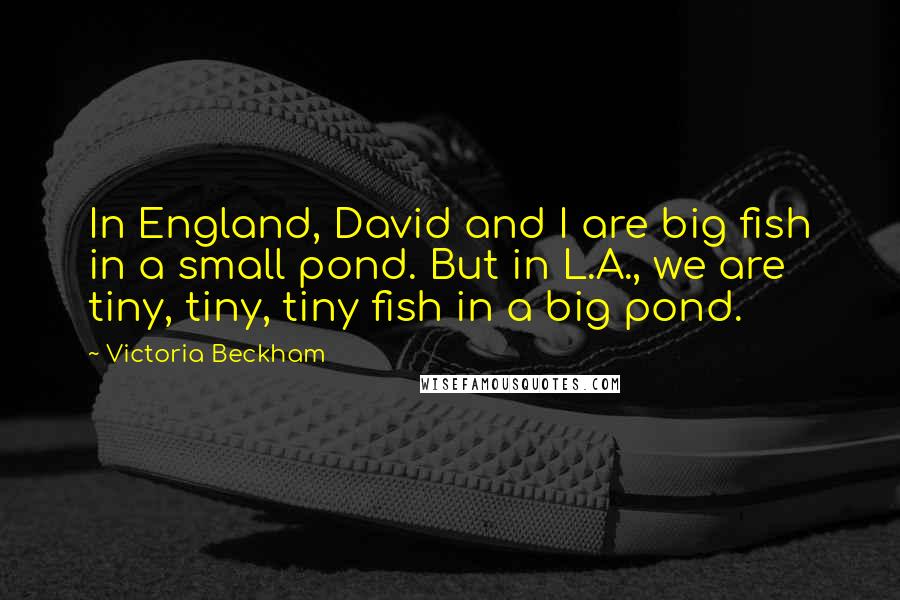 Victoria Beckham Quotes: In England, David and I are big fish in a small pond. But in L.A., we are tiny, tiny, tiny fish in a big pond.