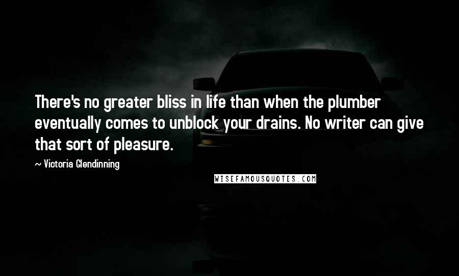 Victoria Glendinning Quotes: There's no greater bliss in life than when the plumber eventually comes to unblock your drains. No writer can give that sort of pleasure.