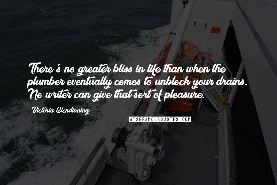 Victoria Glendinning Quotes: There's no greater bliss in life than when the plumber eventually comes to unblock your drains. No writer can give that sort of pleasure.