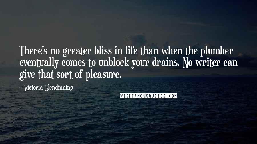 Victoria Glendinning Quotes: There's no greater bliss in life than when the plumber eventually comes to unblock your drains. No writer can give that sort of pleasure.