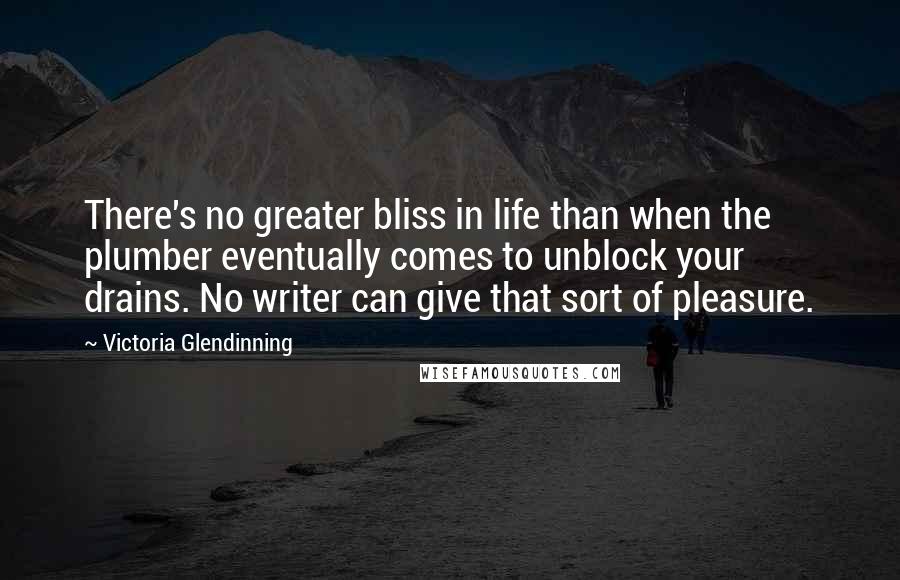 Victoria Glendinning Quotes: There's no greater bliss in life than when the plumber eventually comes to unblock your drains. No writer can give that sort of pleasure.