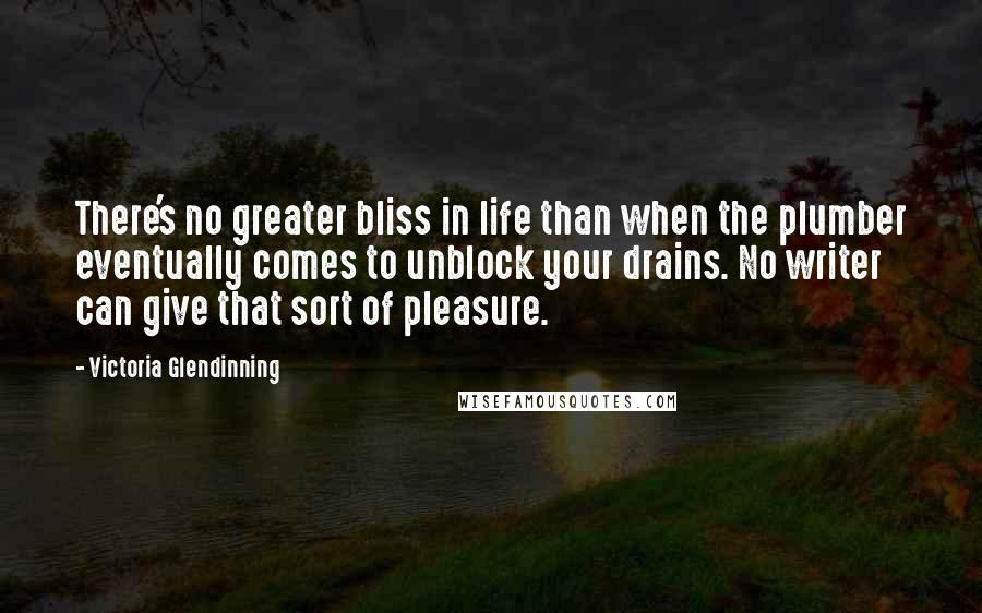 Victoria Glendinning Quotes: There's no greater bliss in life than when the plumber eventually comes to unblock your drains. No writer can give that sort of pleasure.