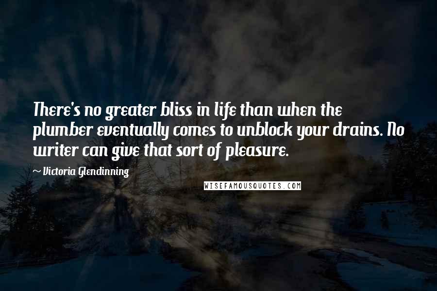 Victoria Glendinning Quotes: There's no greater bliss in life than when the plumber eventually comes to unblock your drains. No writer can give that sort of pleasure.