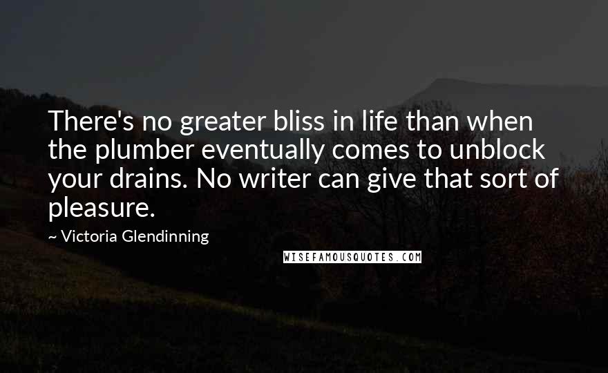 Victoria Glendinning Quotes: There's no greater bliss in life than when the plumber eventually comes to unblock your drains. No writer can give that sort of pleasure.