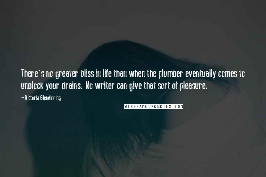 Victoria Glendinning Quotes: There's no greater bliss in life than when the plumber eventually comes to unblock your drains. No writer can give that sort of pleasure.