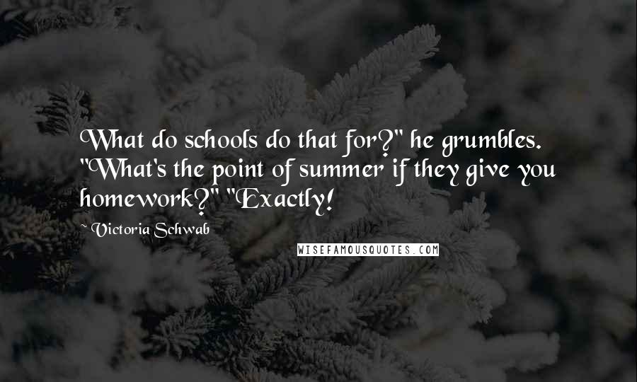 Victoria Schwab Quotes: What do schools do that for?" he grumbles. "What's the point of summer if they give you homework?" "Exactly!