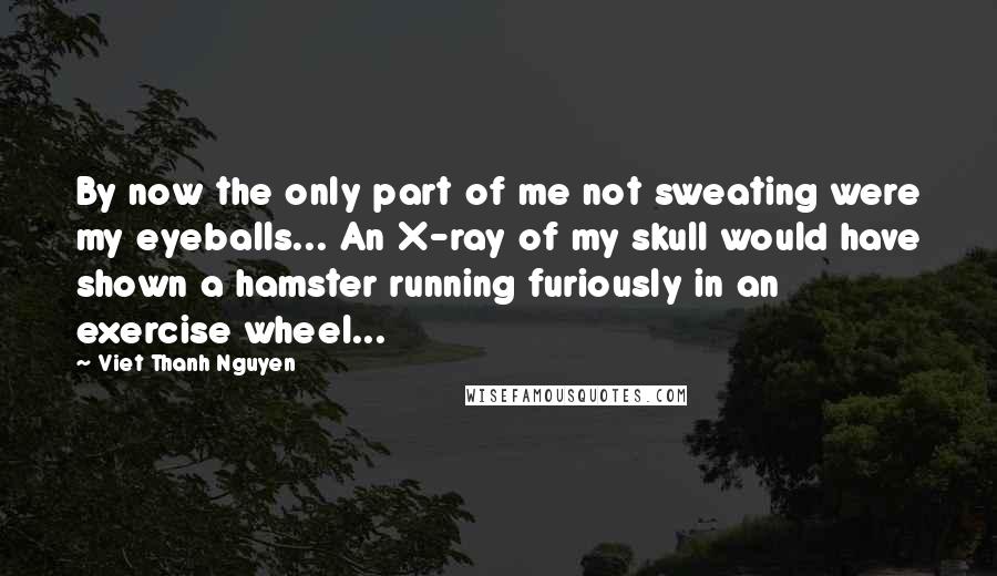 Viet Thanh Nguyen Quotes: By now the only part of me not sweating were my eyeballs... An X-ray of my skull would have shown a hamster running furiously in an exercise wheel...