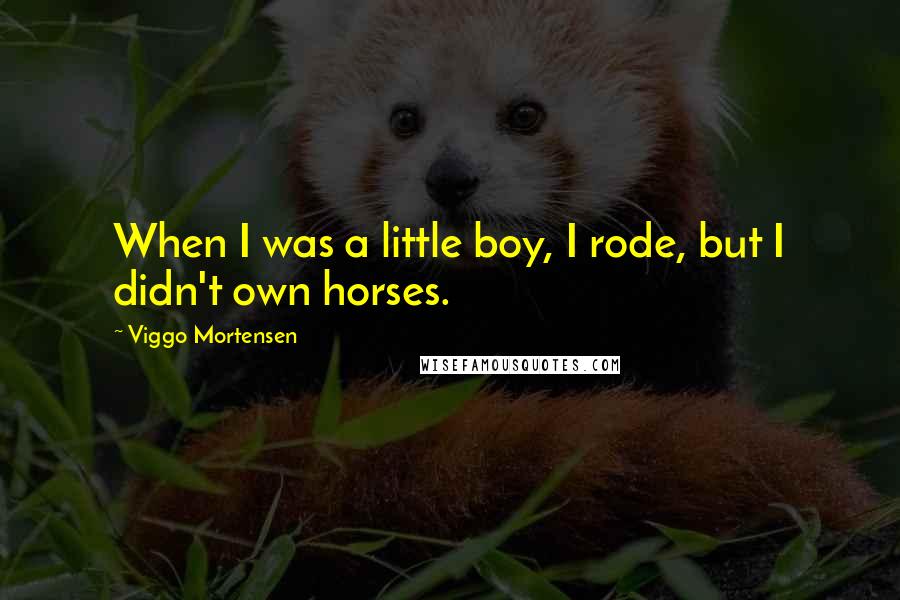 Viggo Mortensen Quotes: When I was a little boy, I rode, but I didn't own horses.