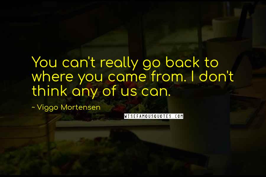 Viggo Mortensen Quotes: You can't really go back to where you came from. I don't think any of us can.
