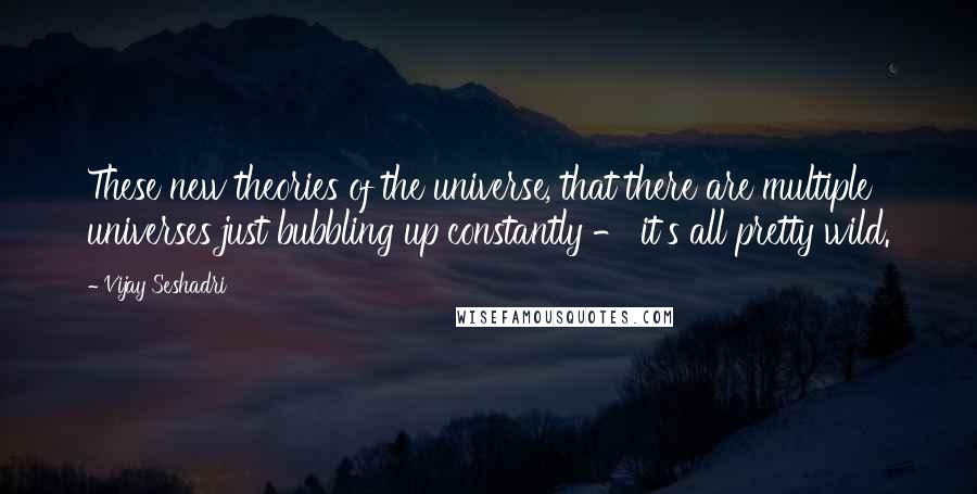 Vijay Seshadri Quotes: These new theories of the universe, that there are multiple universes just bubbling up constantly - it's all pretty wild.