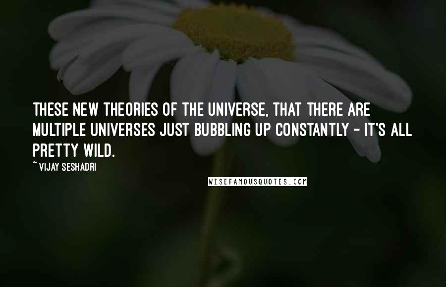 Vijay Seshadri Quotes: These new theories of the universe, that there are multiple universes just bubbling up constantly - it's all pretty wild.