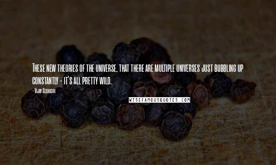 Vijay Seshadri Quotes: These new theories of the universe, that there are multiple universes just bubbling up constantly - it's all pretty wild.