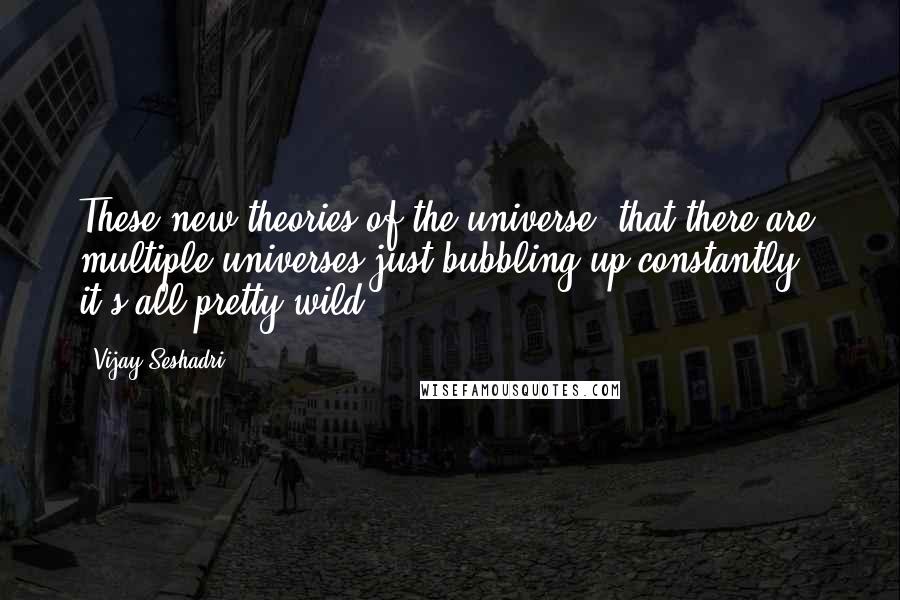 Vijay Seshadri Quotes: These new theories of the universe, that there are multiple universes just bubbling up constantly - it's all pretty wild.