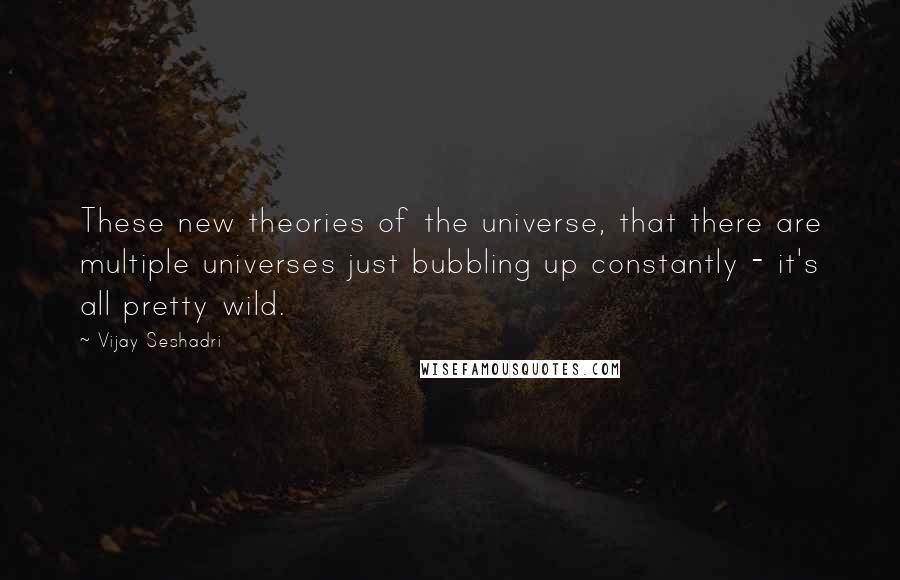 Vijay Seshadri Quotes: These new theories of the universe, that there are multiple universes just bubbling up constantly - it's all pretty wild.