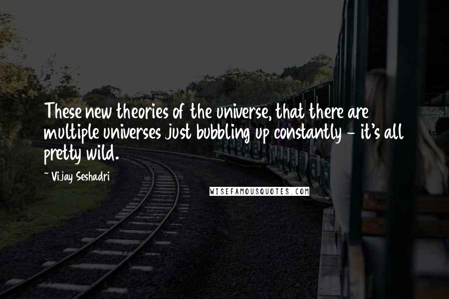 Vijay Seshadri Quotes: These new theories of the universe, that there are multiple universes just bubbling up constantly - it's all pretty wild.